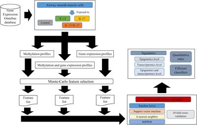 Detecting the Multiomics Signatures of Factor-Specific Inflammatory Effects on Airway Smooth Muscles